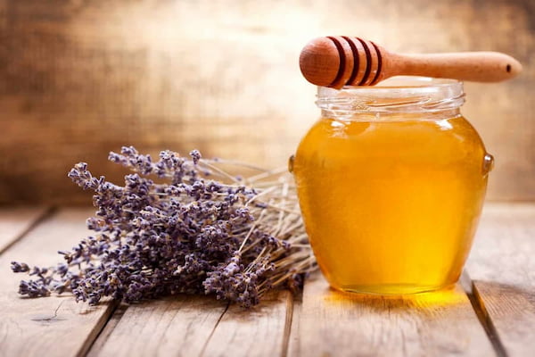 تصویر 2 از معرفی عسل آویشن کوهی + بهترین قیمت خرید